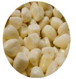 ترشی سیر سفید (متوسط) فله